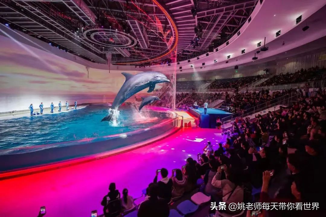 春节上海亲子游乐攻略,上海亲子游乐去哪里