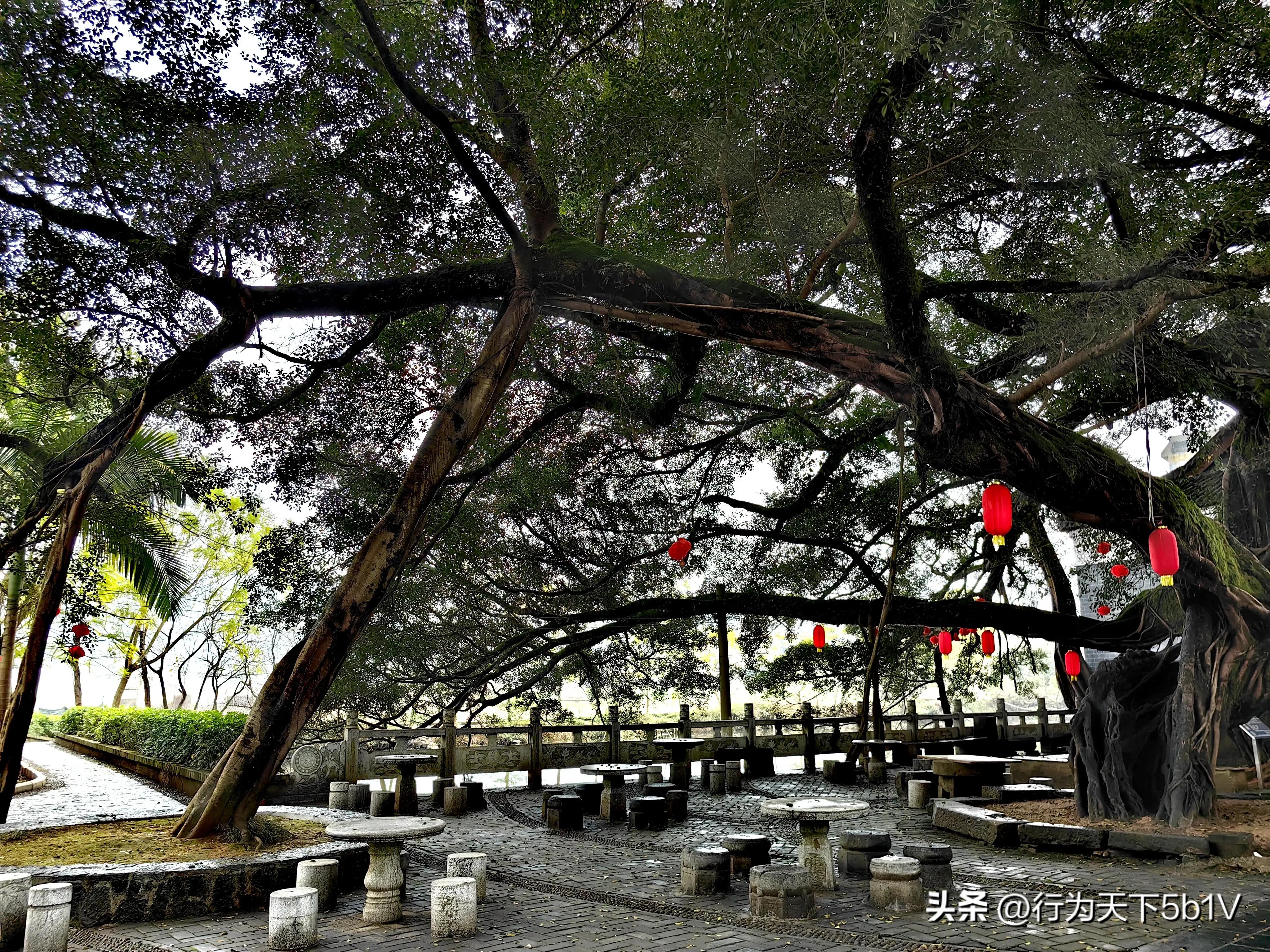 【平乐十里画廊鬼斧神工伟人石像】穿越唐*平宋**乐榕津千年古镇！