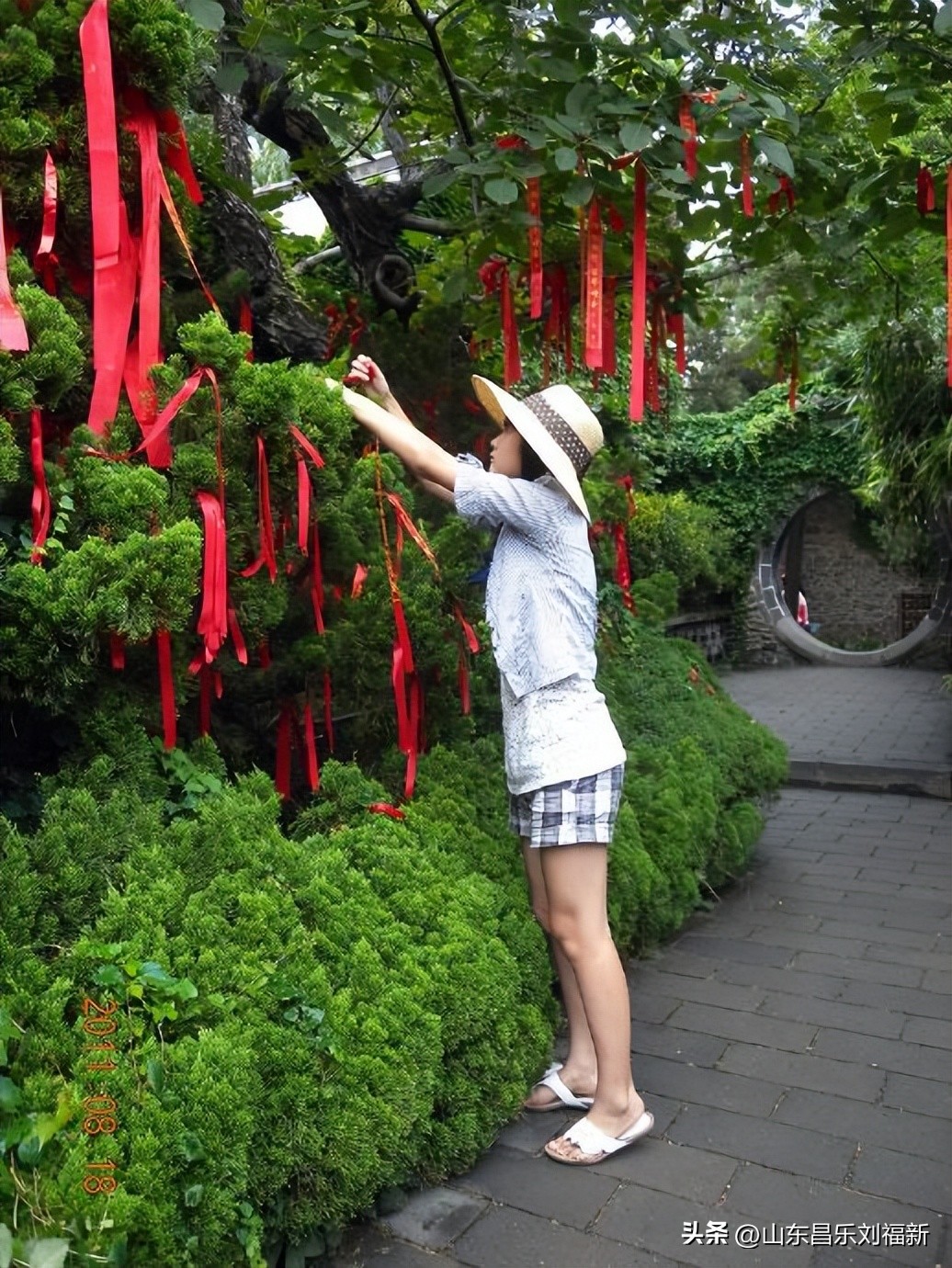 游蓬莱阁摄影作品欣赏,蓬莱阁一游完整视频