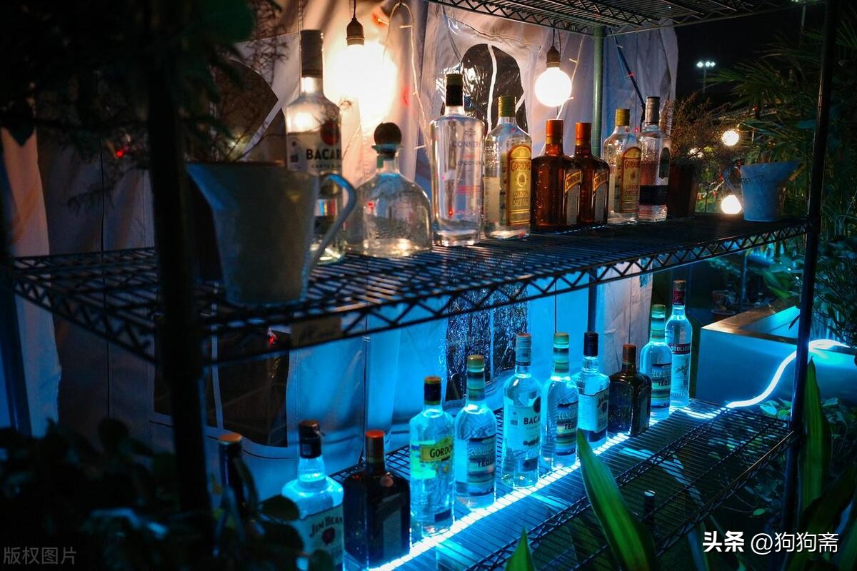 从底层开始小说,底层生活小说全集