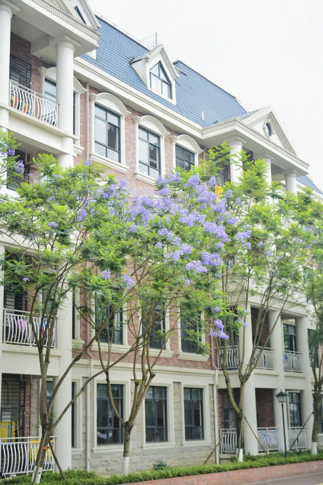 图鉴不凡｜如果你要看新川，就不能只看新川的美……