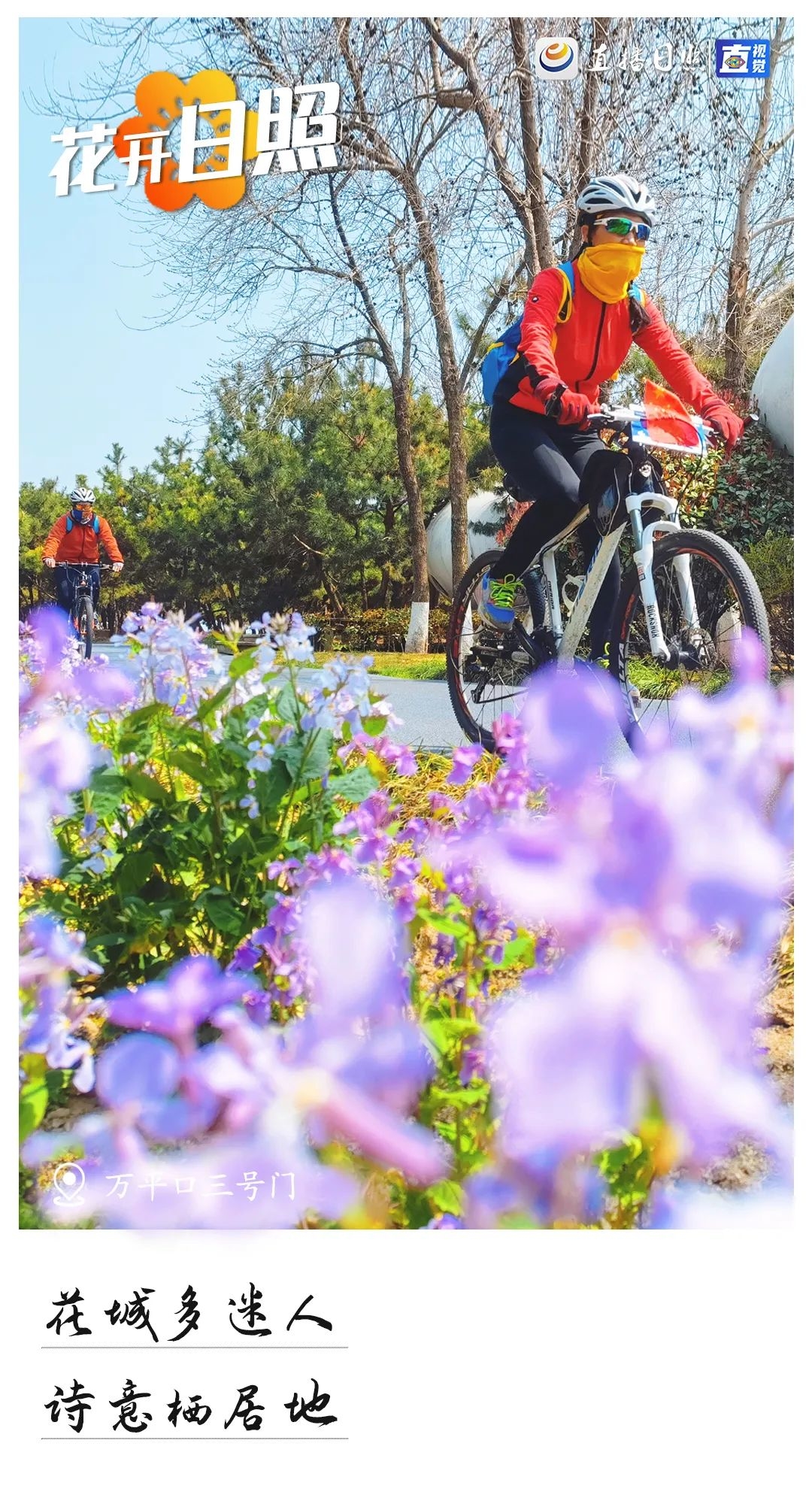 最美日照春暖花开,日照春暖花开旅游