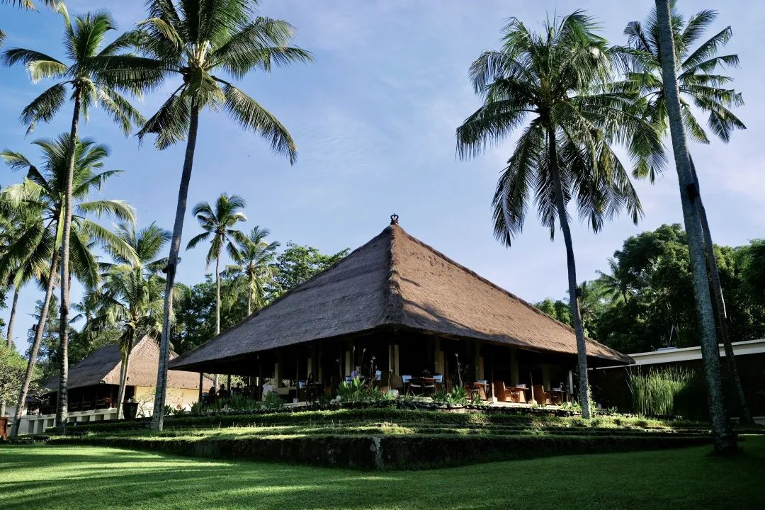 这可能是全球性价比最高的一家阿丽拉