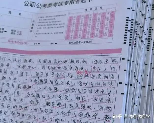 公务员和选调生的区别在哪里啊,公务员和选调生的区别