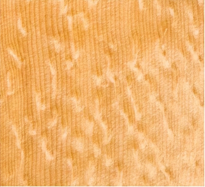 吉他入门推荐购买41寸,初学者买的吉他选什么面板