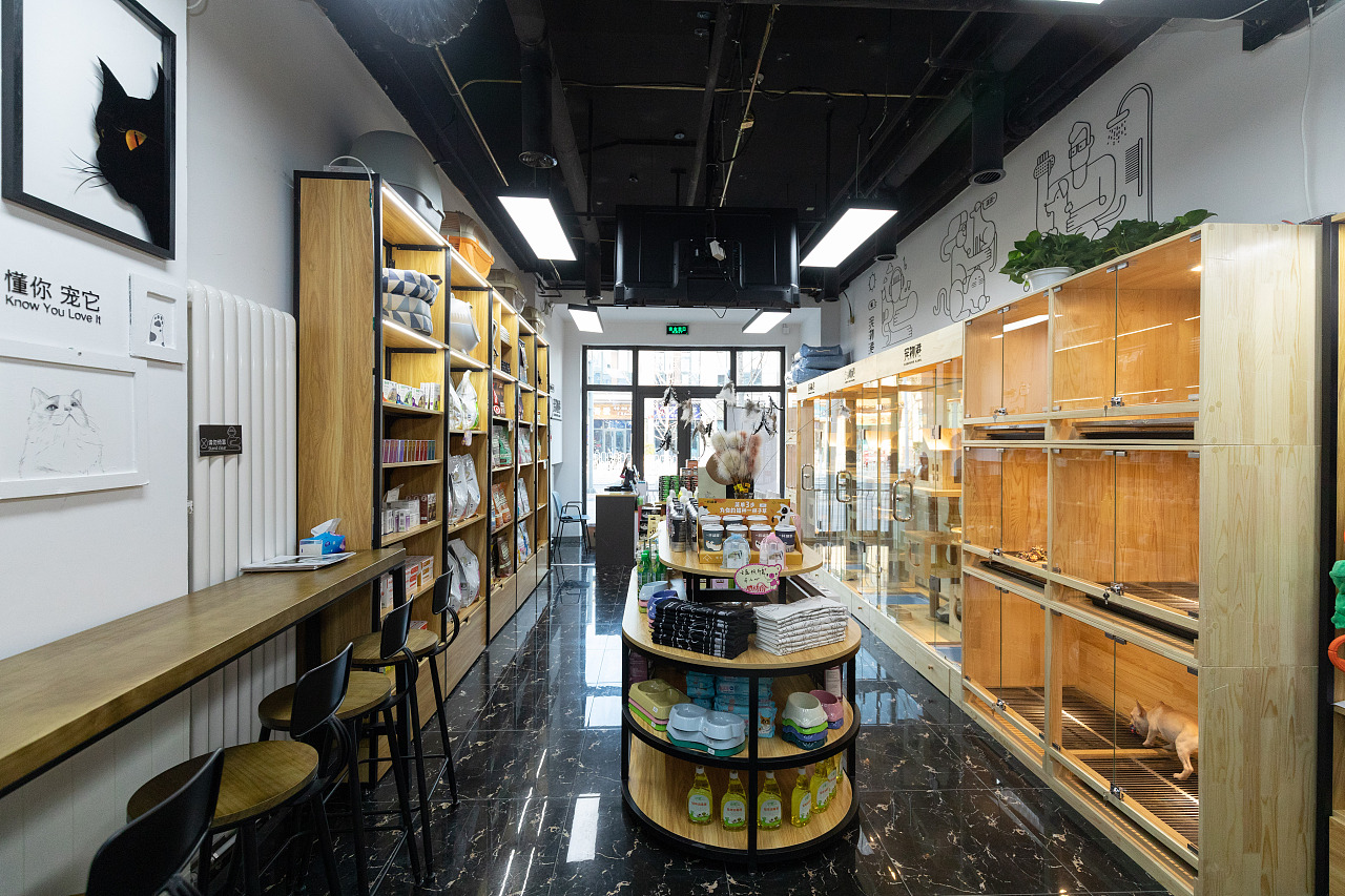 哪种狗便宜几百块就可以拿下,狗比较贵又诚实