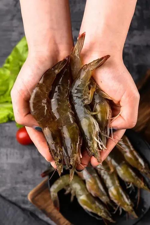 基围虾怎么养殖要放药吗,农村养鸡投资大概要多少钱