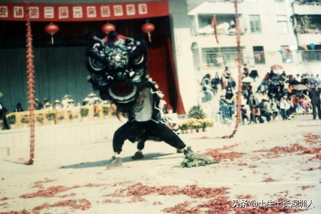 醒狮和瑞狮的区别在哪,醒狮的运动特点