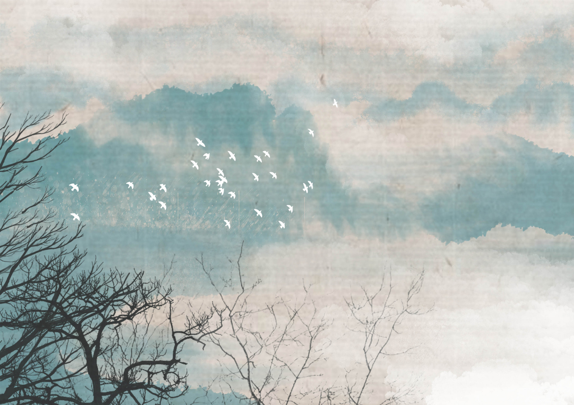 杨绛经典语录人生感悟500字,杨绛先生经典语录与人生感悟句子