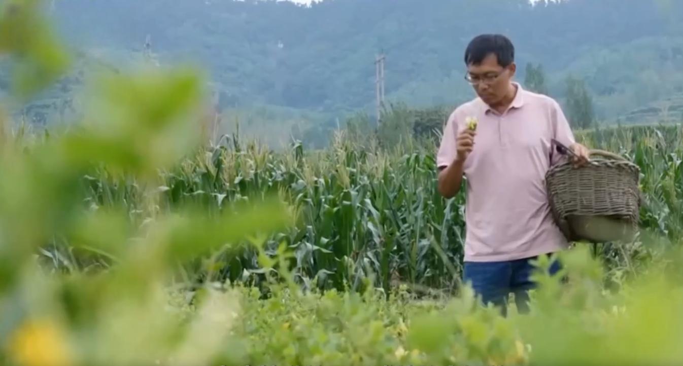 80后小伙回乡养猪发大财,80后小伙创业养猪