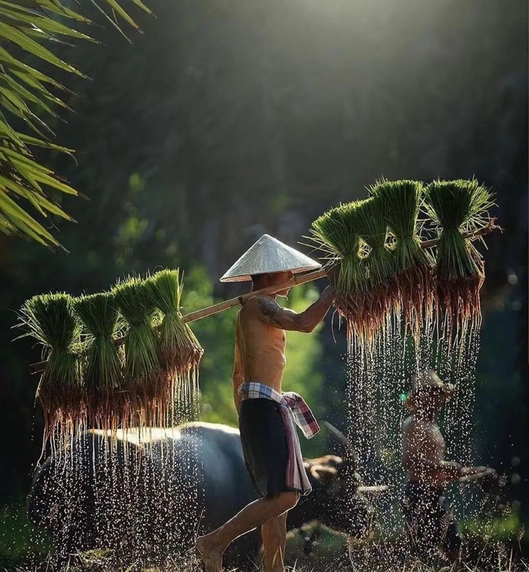 学习优秀摄影作品,摄影教学作品欣赏