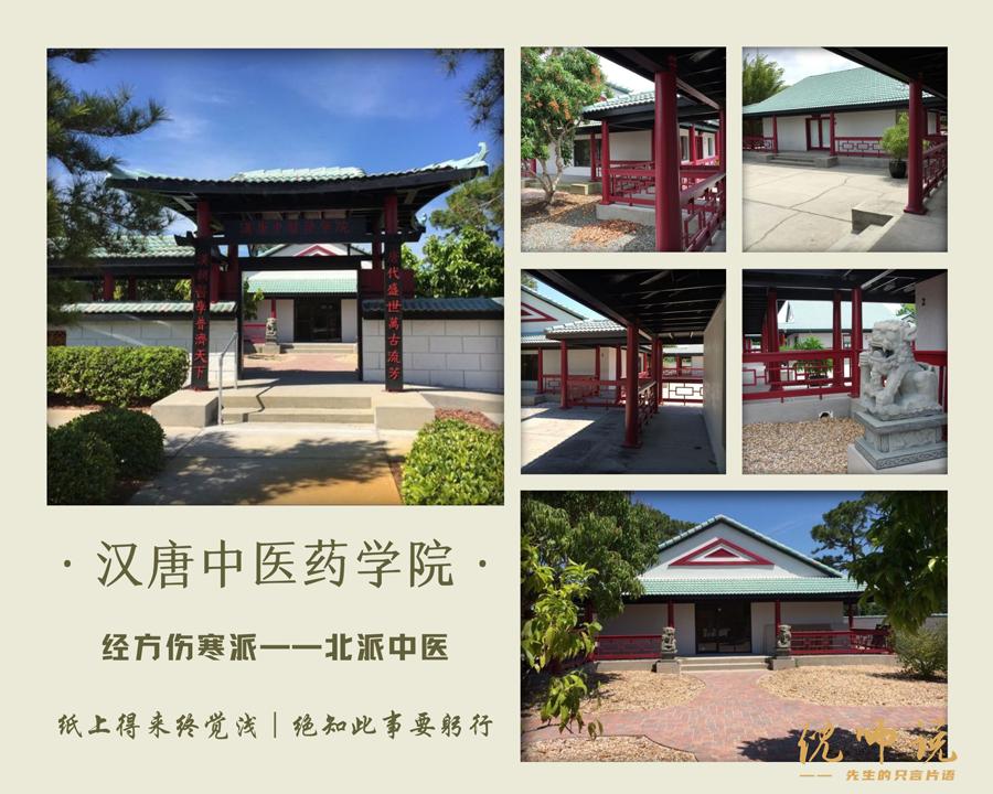 中医鬼才倪海厦的传奇人生,中医鬼才倪海厦传奇一生