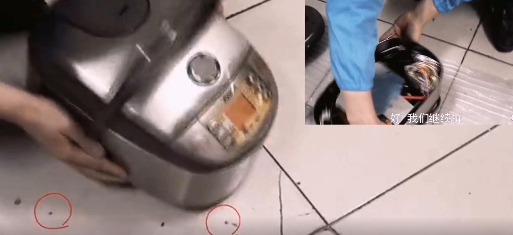 电饭煲进蟑螂商家为什么不改进,日本电饭煲进蟑螂怎么办