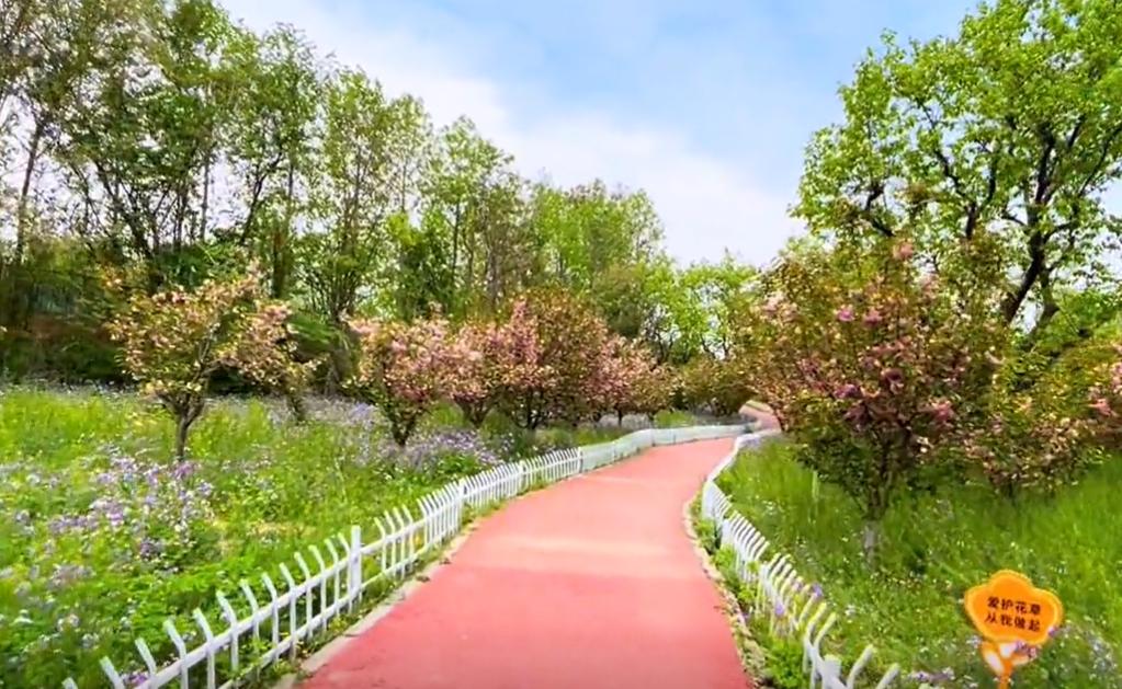 郑州周边遛娃自驾一日游,郑州北部秋季遛娃免费景点