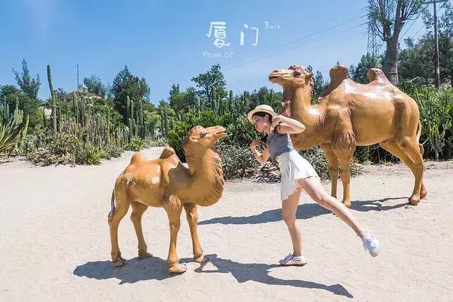 2023厦门4日游最佳路线，去厦门四天注意事项有哪些？