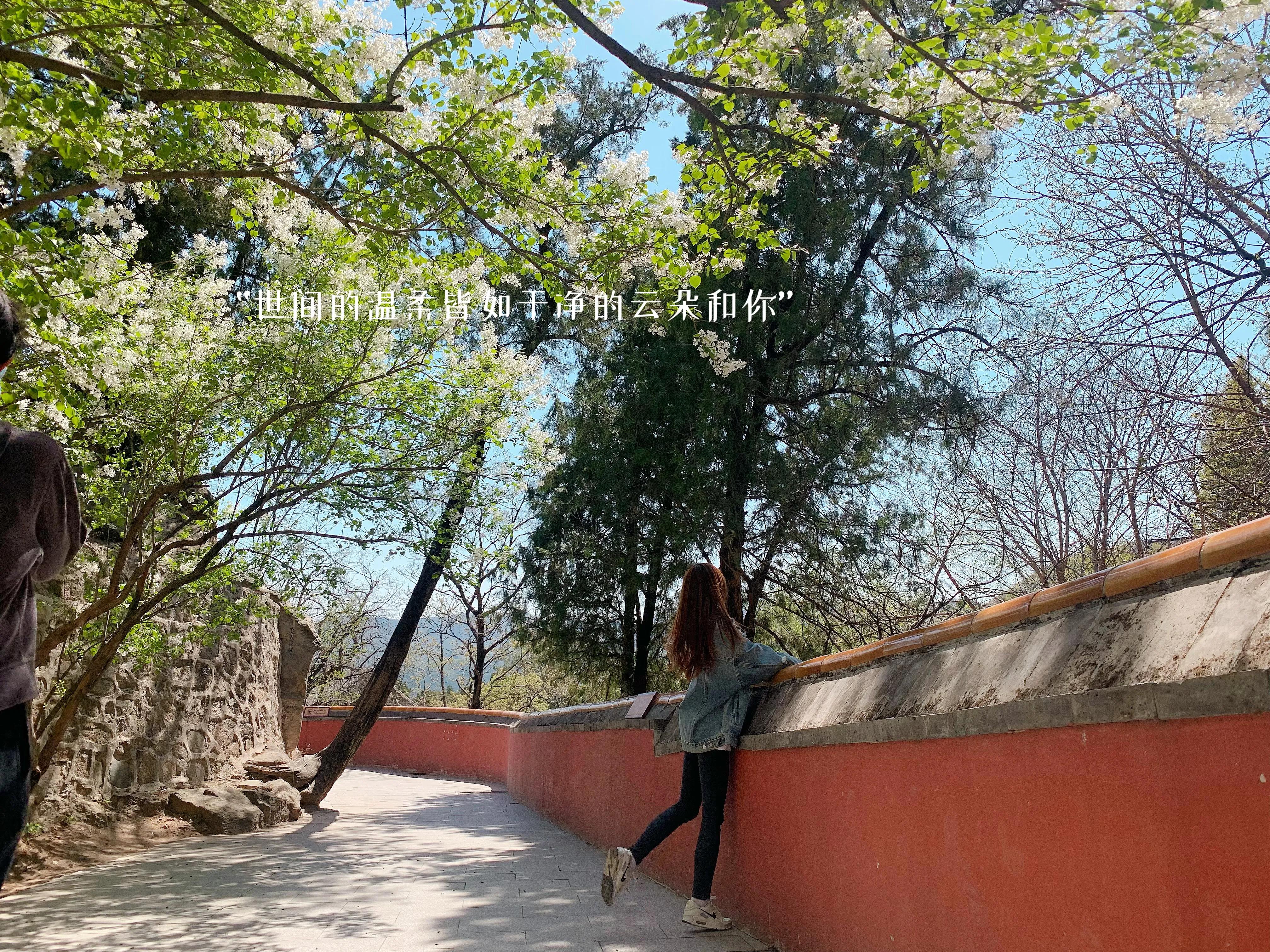 京城一日游方案,京城一日游推荐之潭柘寺