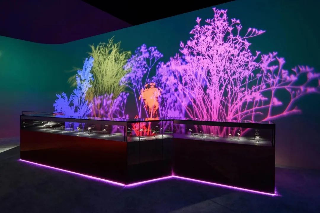 大品牌pk,各大品牌大pk