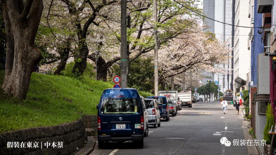 365张照片回顾,365张相片