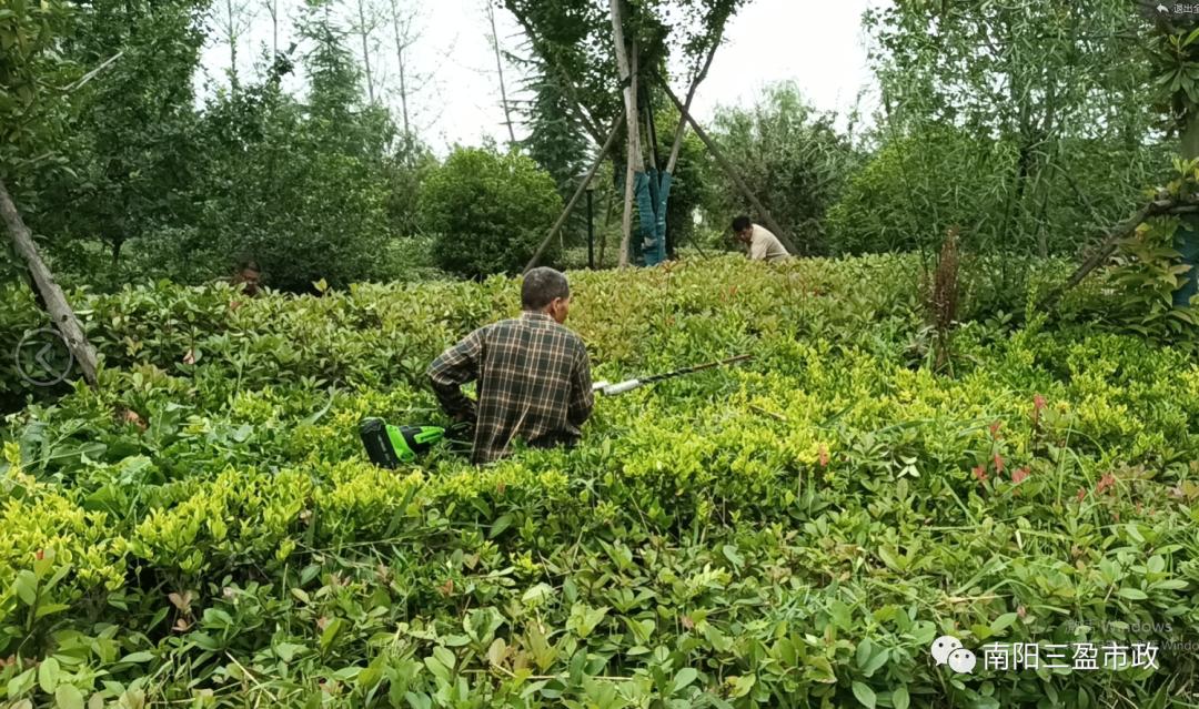 党建引领红色物业各类工作表格,南阳市三盈市政工程有限公司邝浩