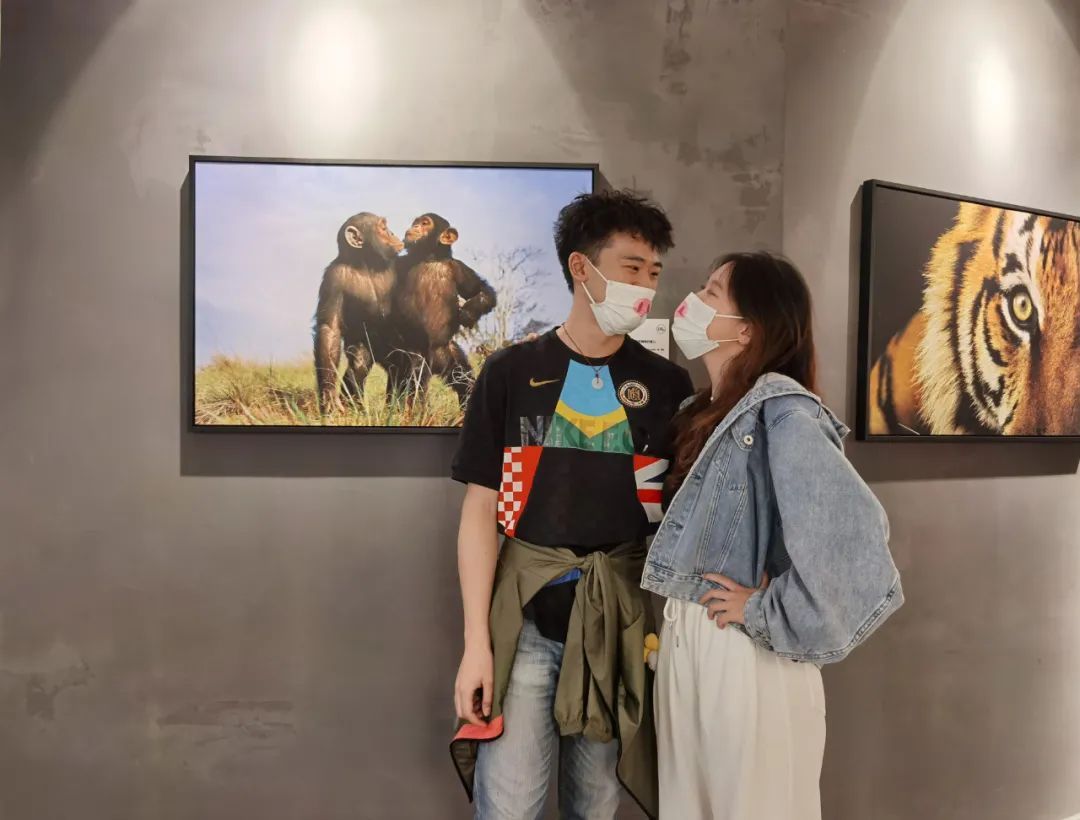 那就好好告个别吧，用你们最难忘的Moment