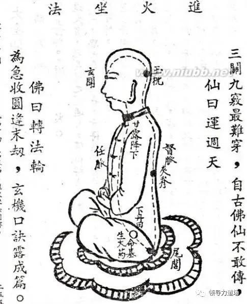 禅解道德经,禅解论语原文