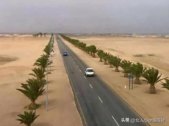 警花王菲哪年的,警花王菲怎样了