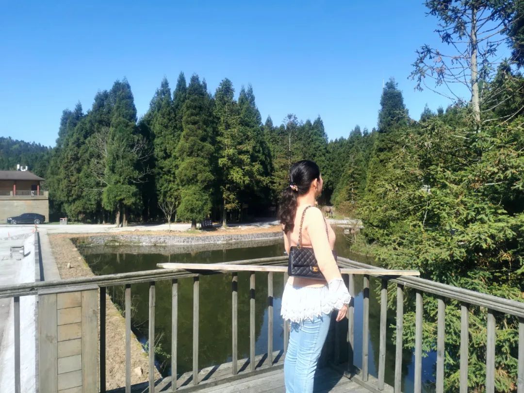 重庆璀璨明珠美景图,重庆涪陵美景