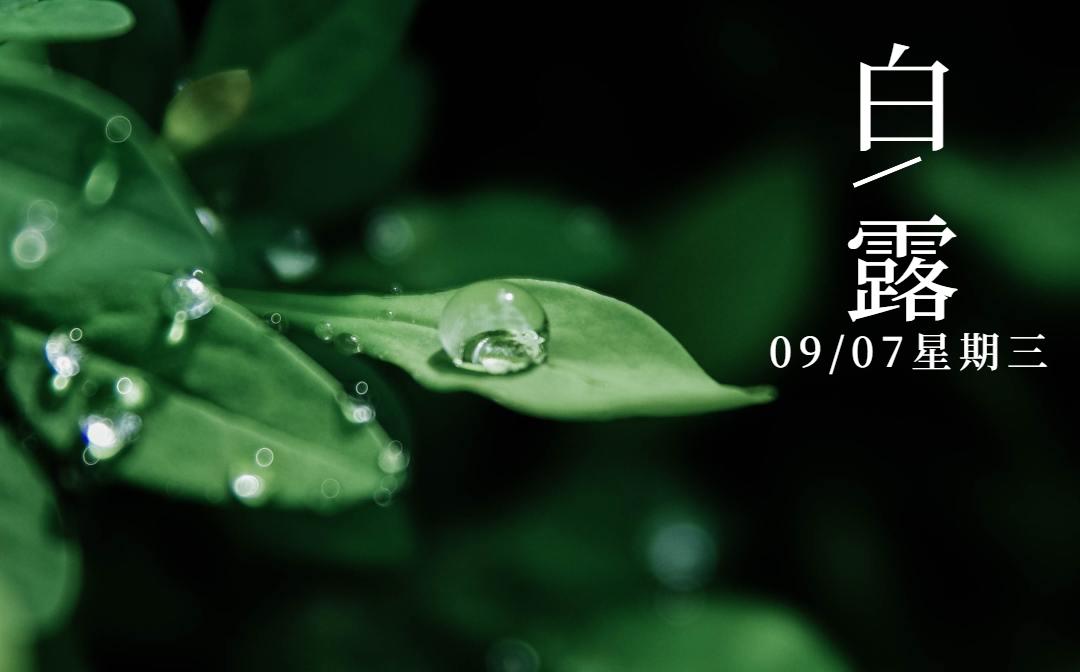 白露节气经络保健养生视频,白露过后饮食养生攻略