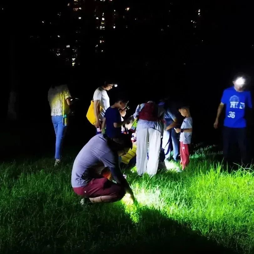 上海沉浸式夜游公园,上海森林公园夜游