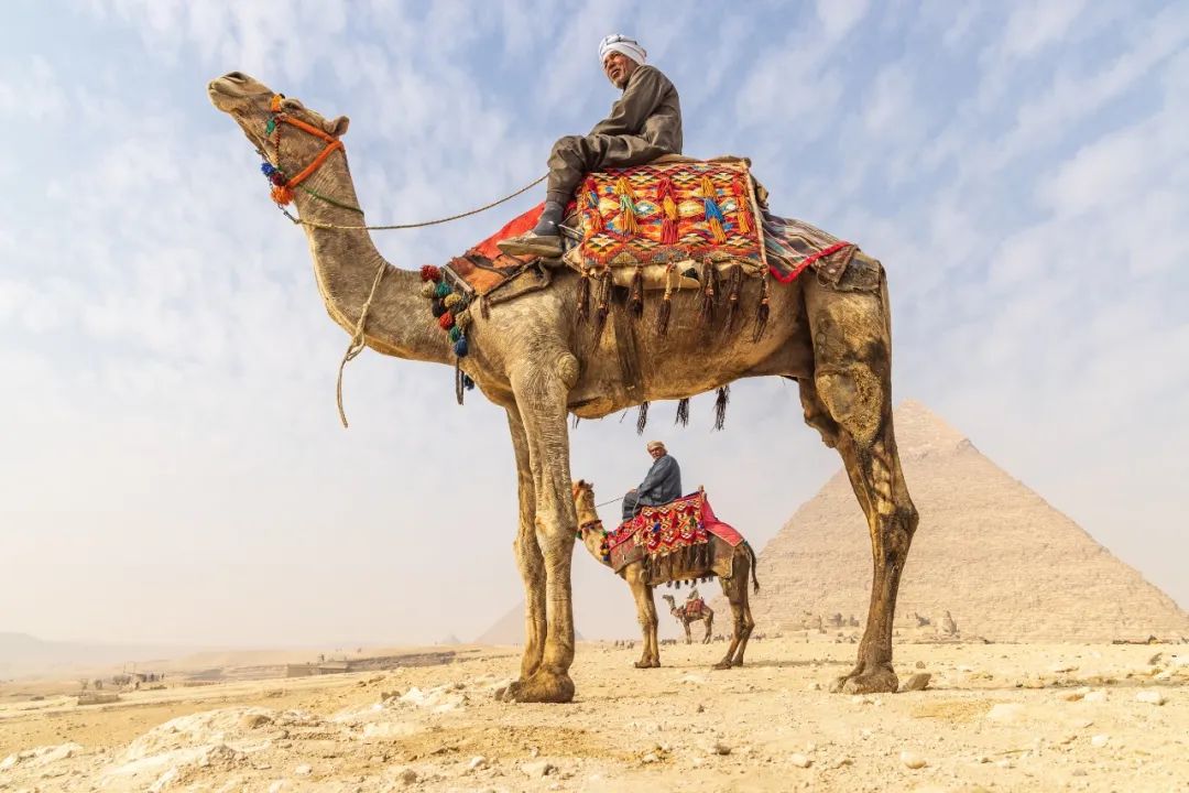 摄影界最著名的奖,摄影界的最高奖项叫什么