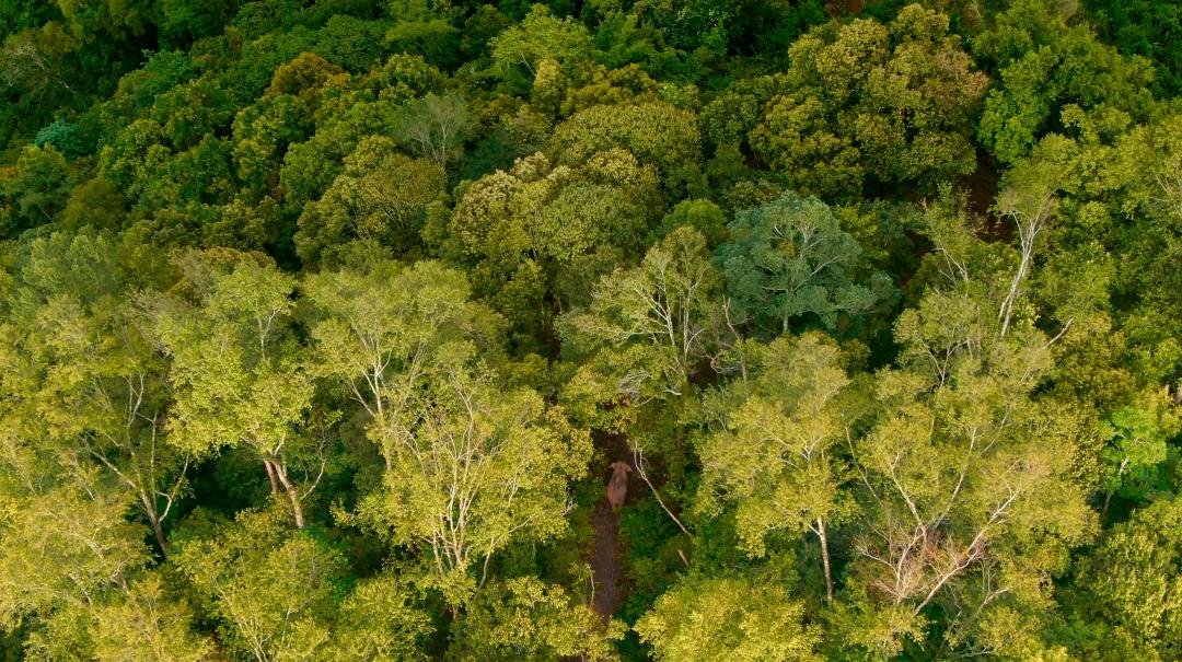 15部豆瓣9.0以上高分记录片,五部必看的高分电影国庆在家就看
