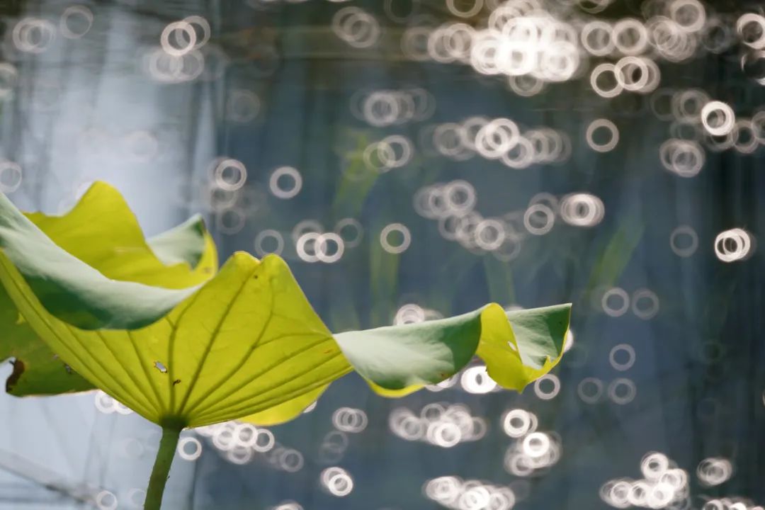 250mm折返镜头,500mm折返镜头焦距是多少