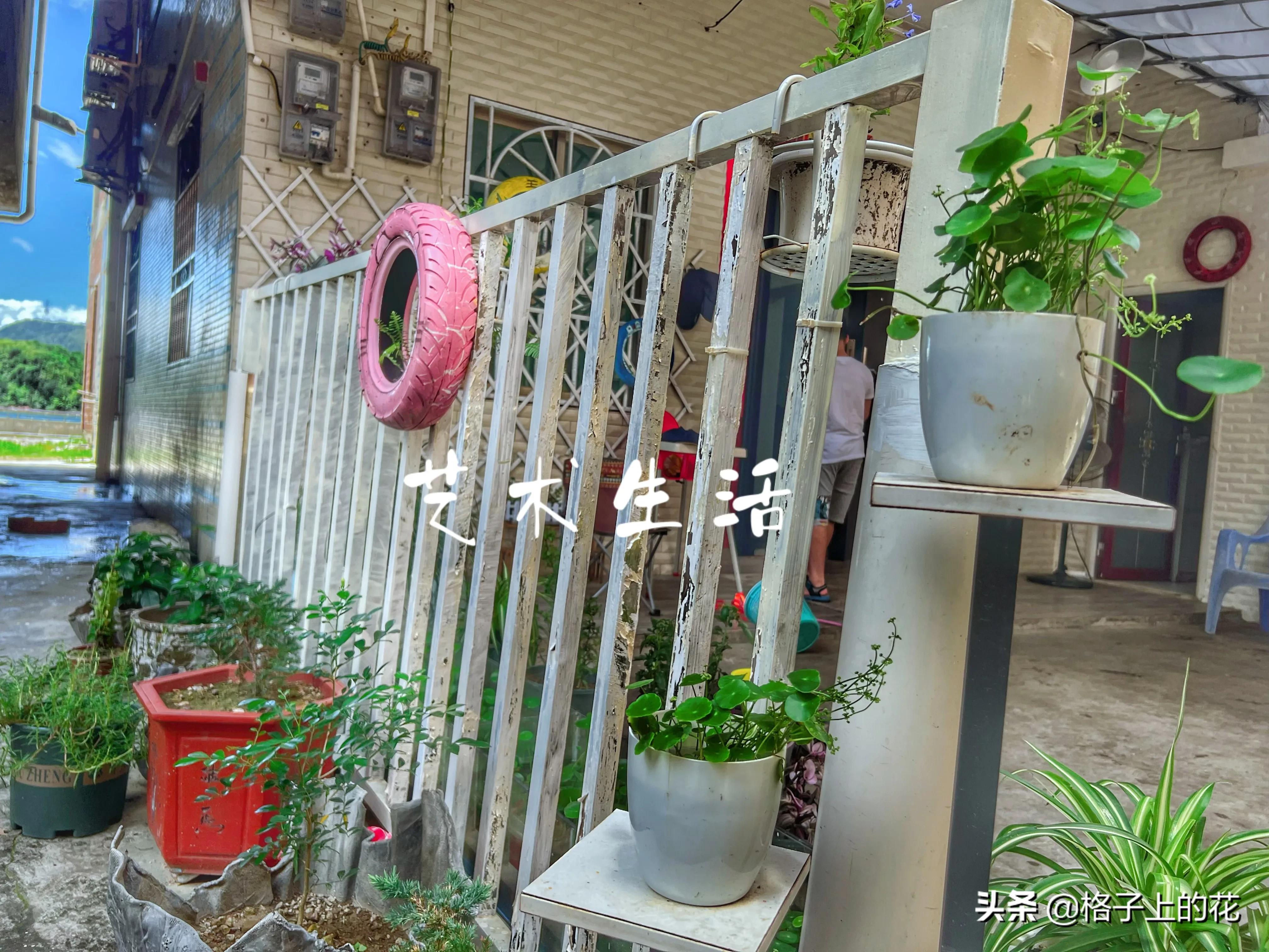 惠州有哪些小渔村好玩,惠州渔村