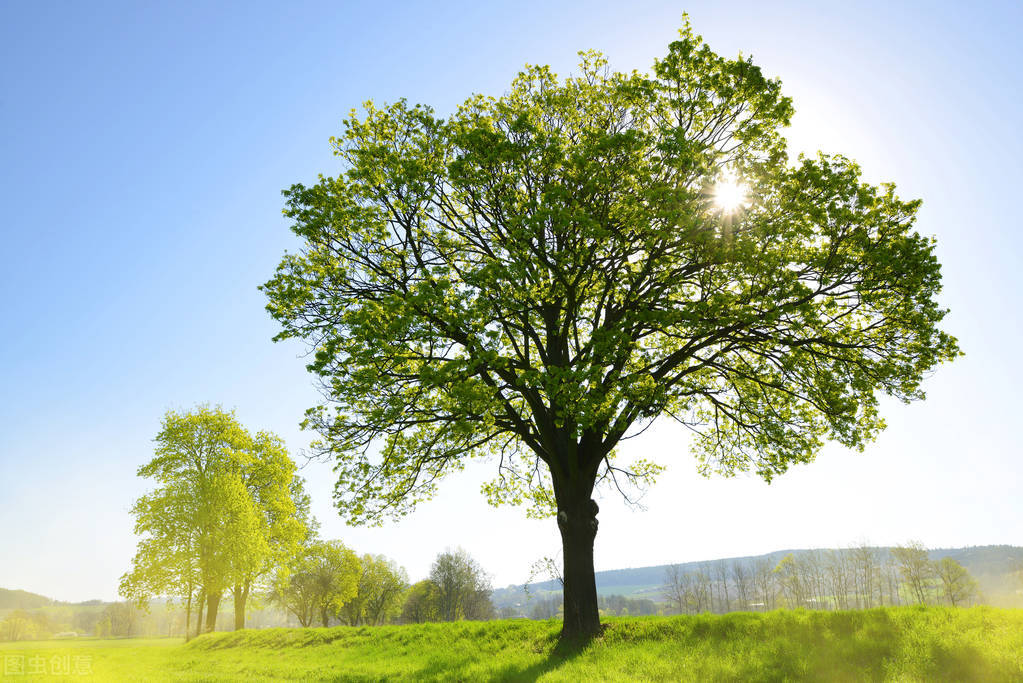 静坐时打嗝放屁是好事吗,练功后频繁打嗝是怎么回事