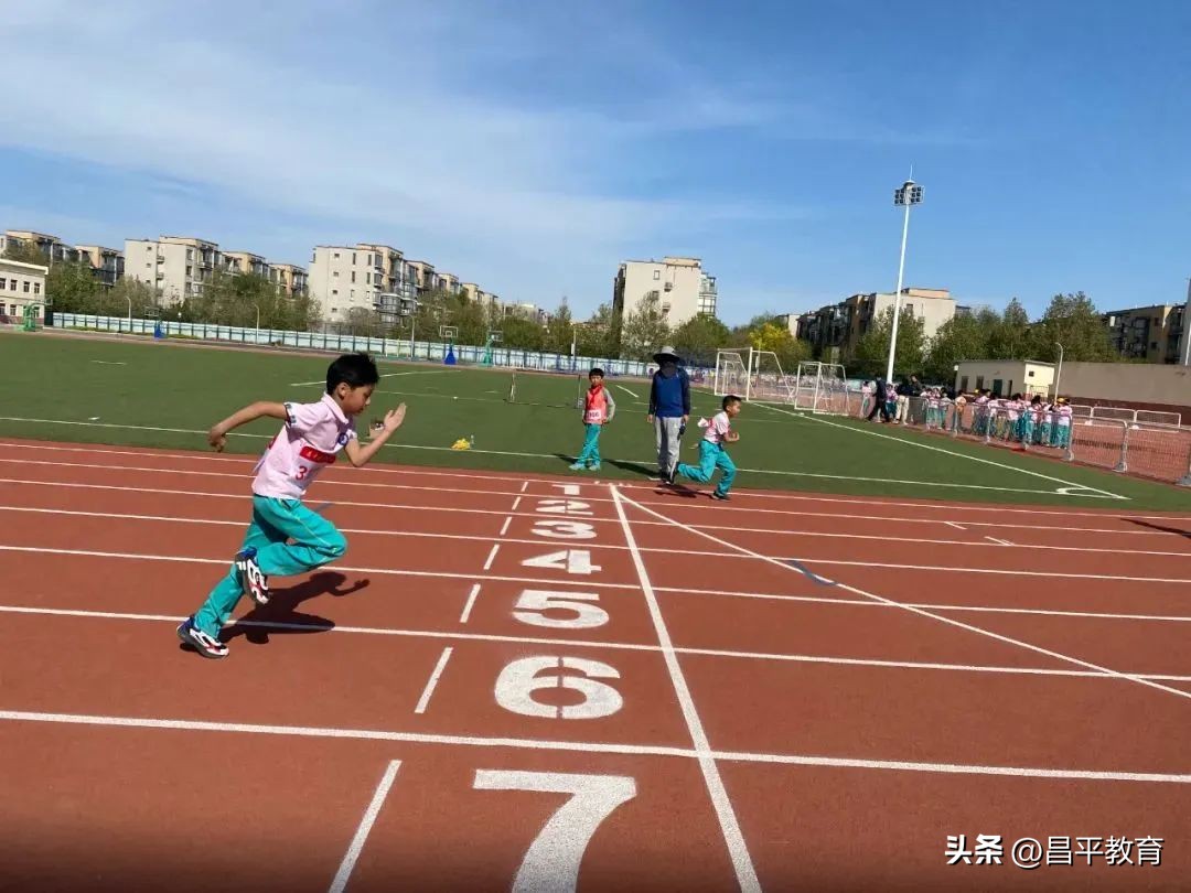 校园赛场青春激扬活力四射,推荐校园竞技