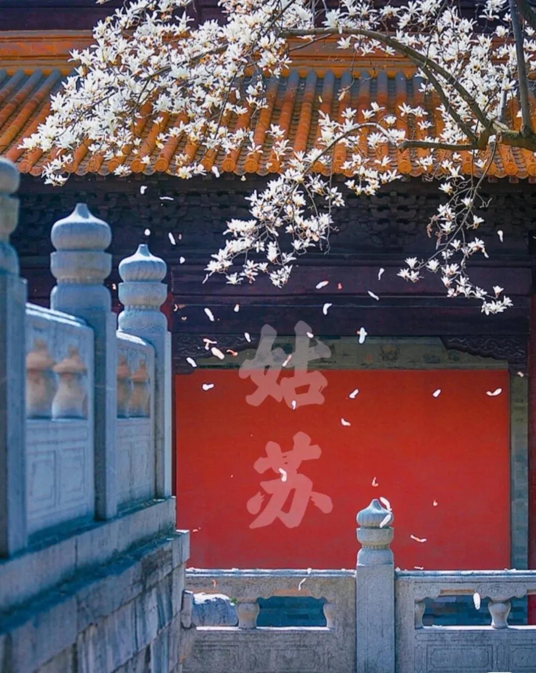 上方山森林公园,上方山森林公园免费门票