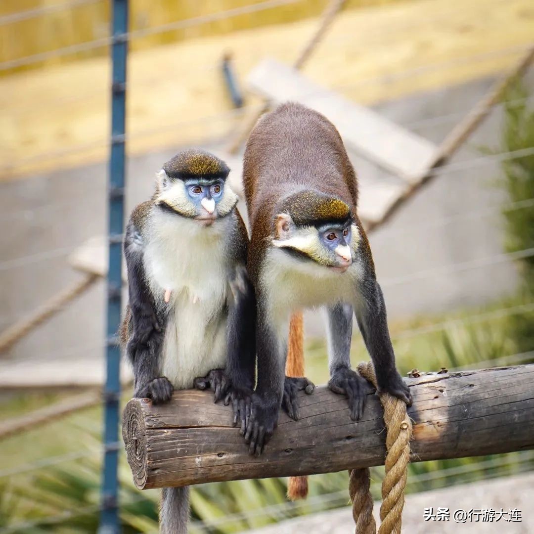 赛道上的美景,赛道美景
