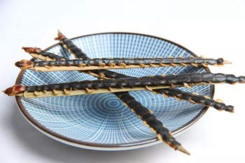 五毒之一蜈蚣为什么怕鸡,鸡为什么是蝎子的克星