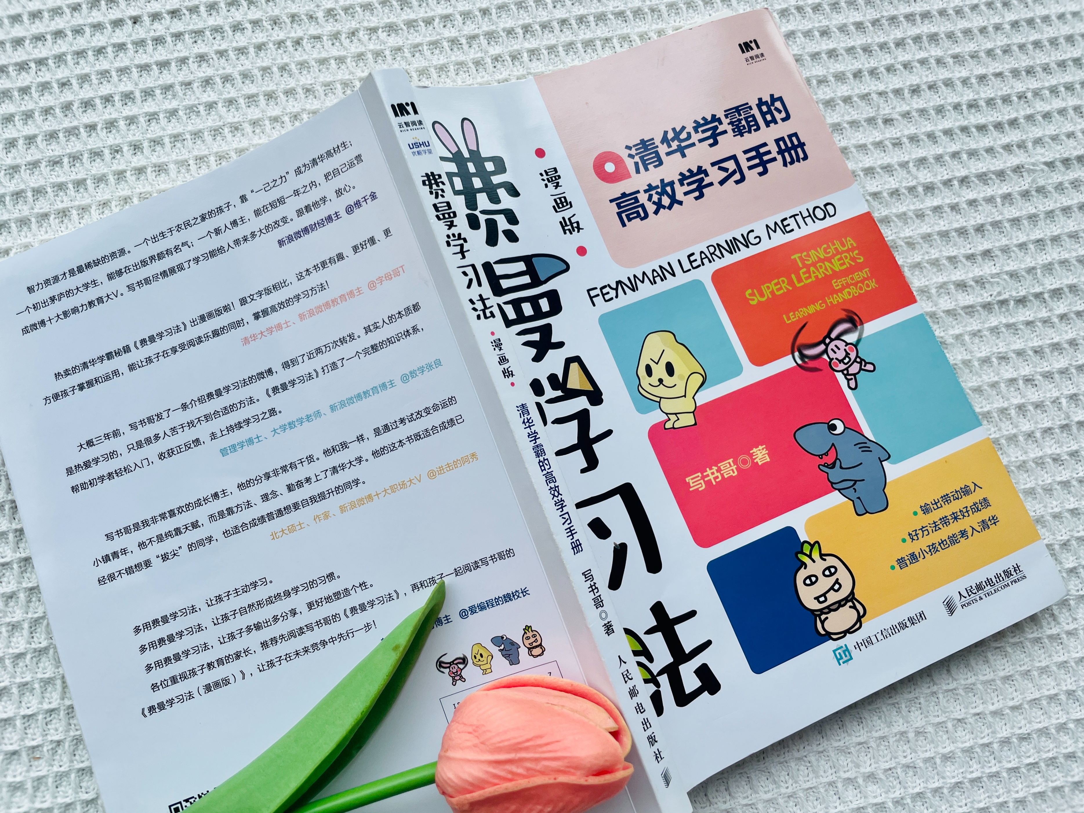 费曼学习法学习数学语文步骤,小学生分享费曼学习法