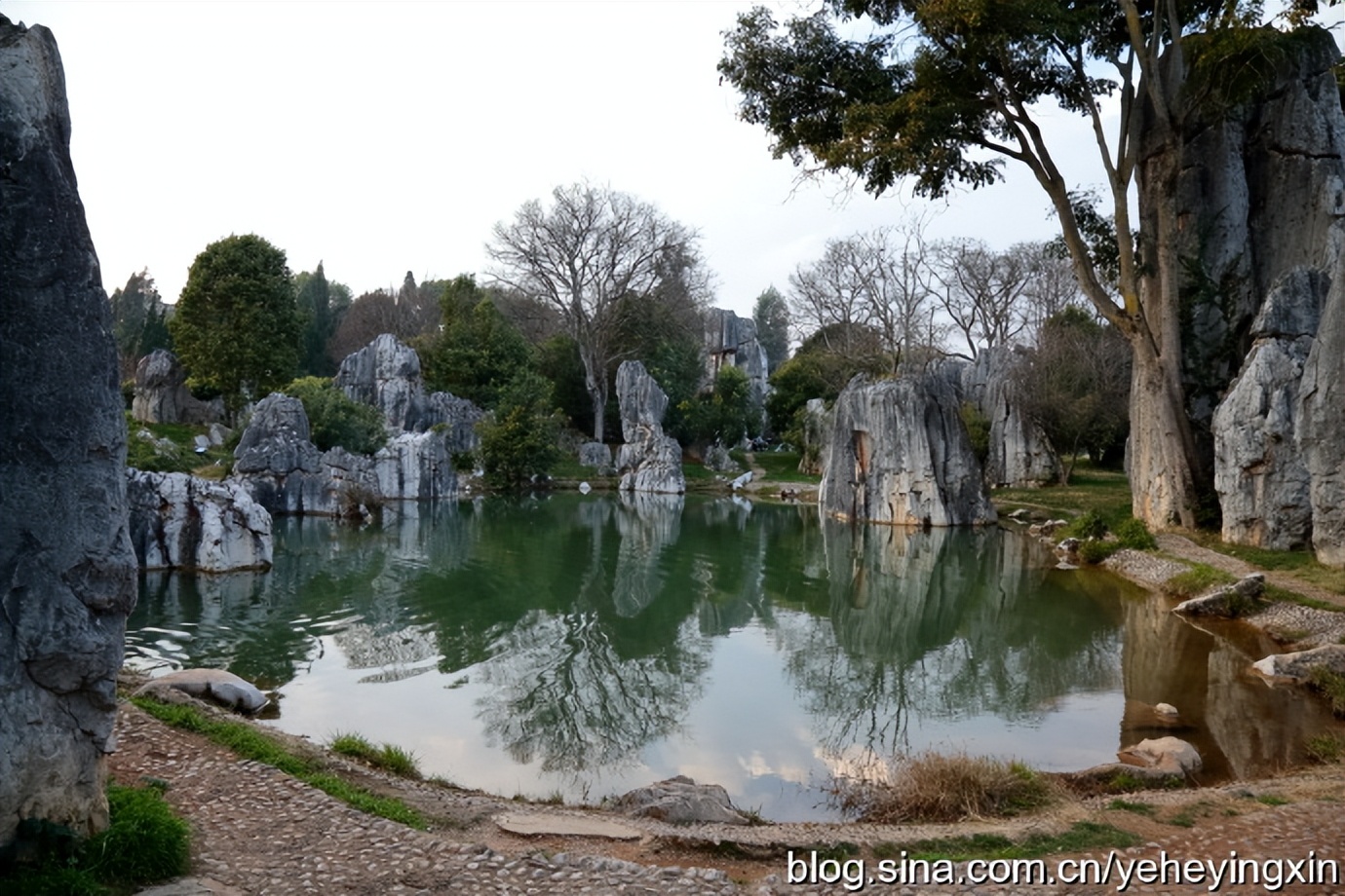 世界地质公园云南石林风景区,昆明石林国家地质公园