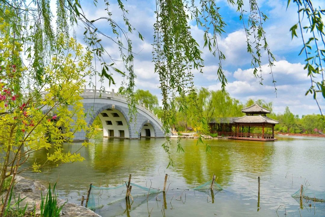 津北森林公园游玩攻略,津北森林公园和北宫森林公园比较