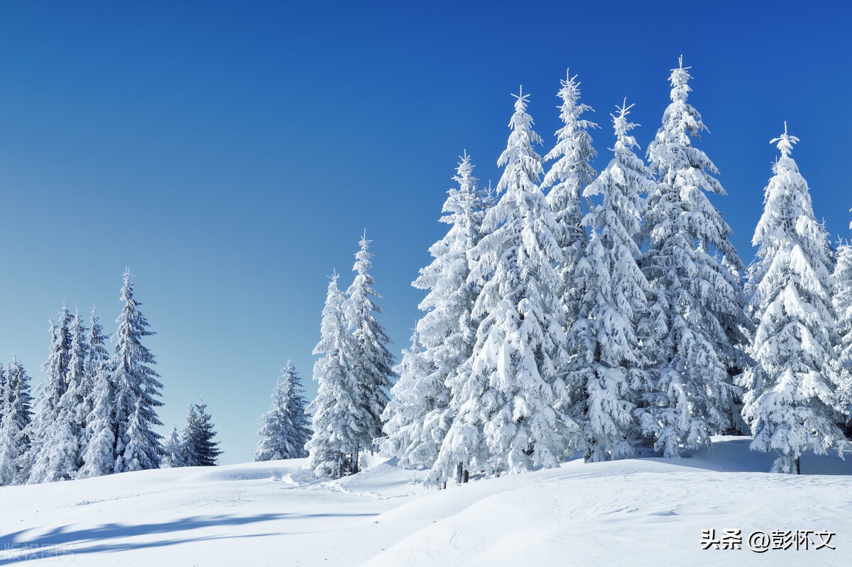 资本公积和盈余公积转增股本是否缴纳个人所得税?