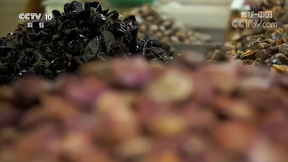 地理中国探秘青海湖,央视地理中国探秘鱼木洞