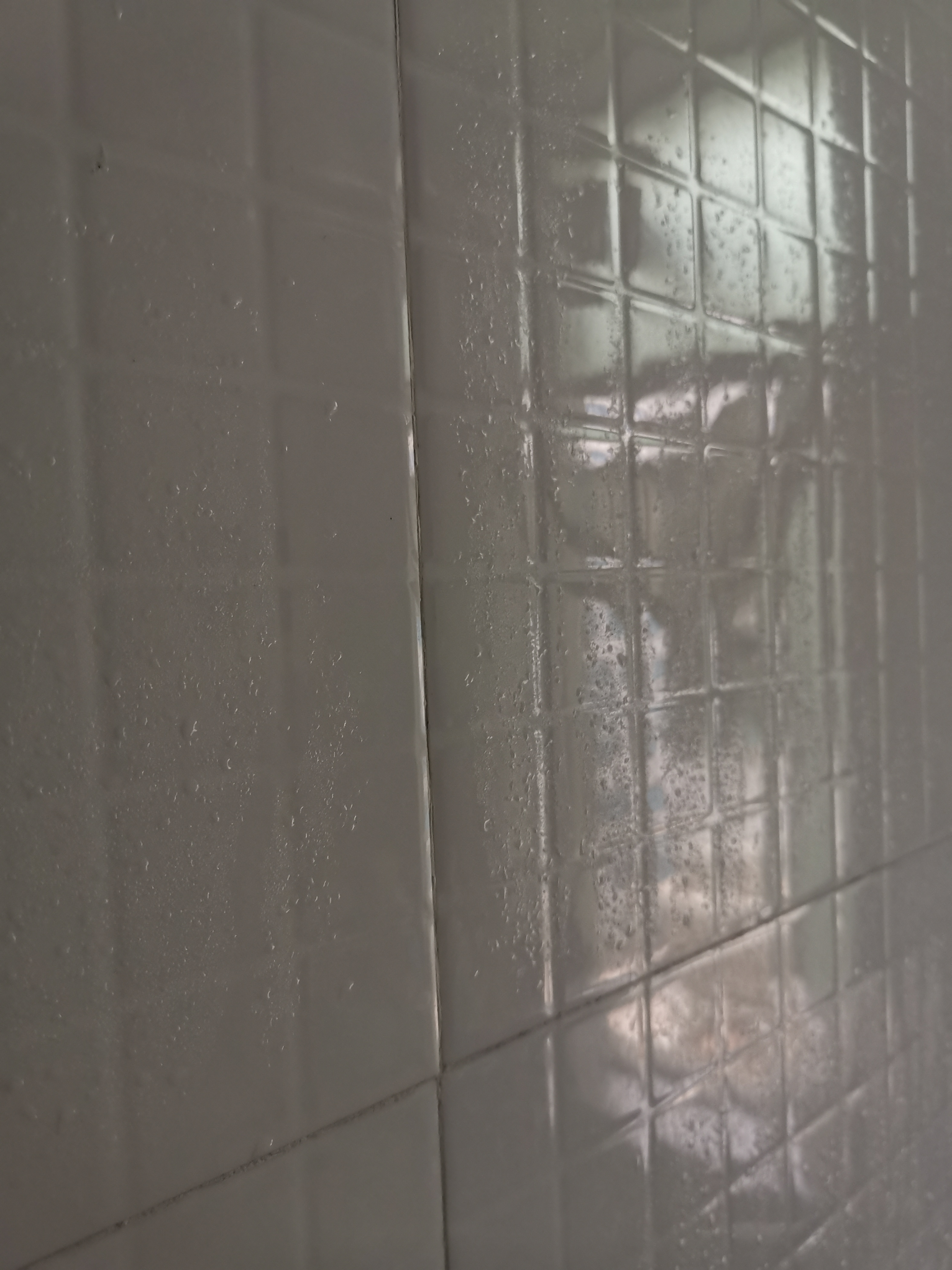 南方人倒春寒北方人不知道回南天,北方的春天总是在倒春寒中度过