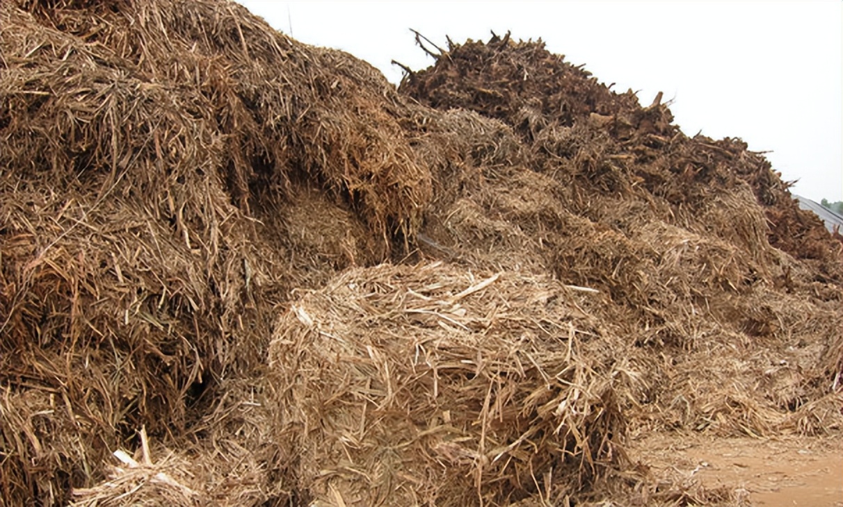 农民种地致富行业,农村种地靠什么致富