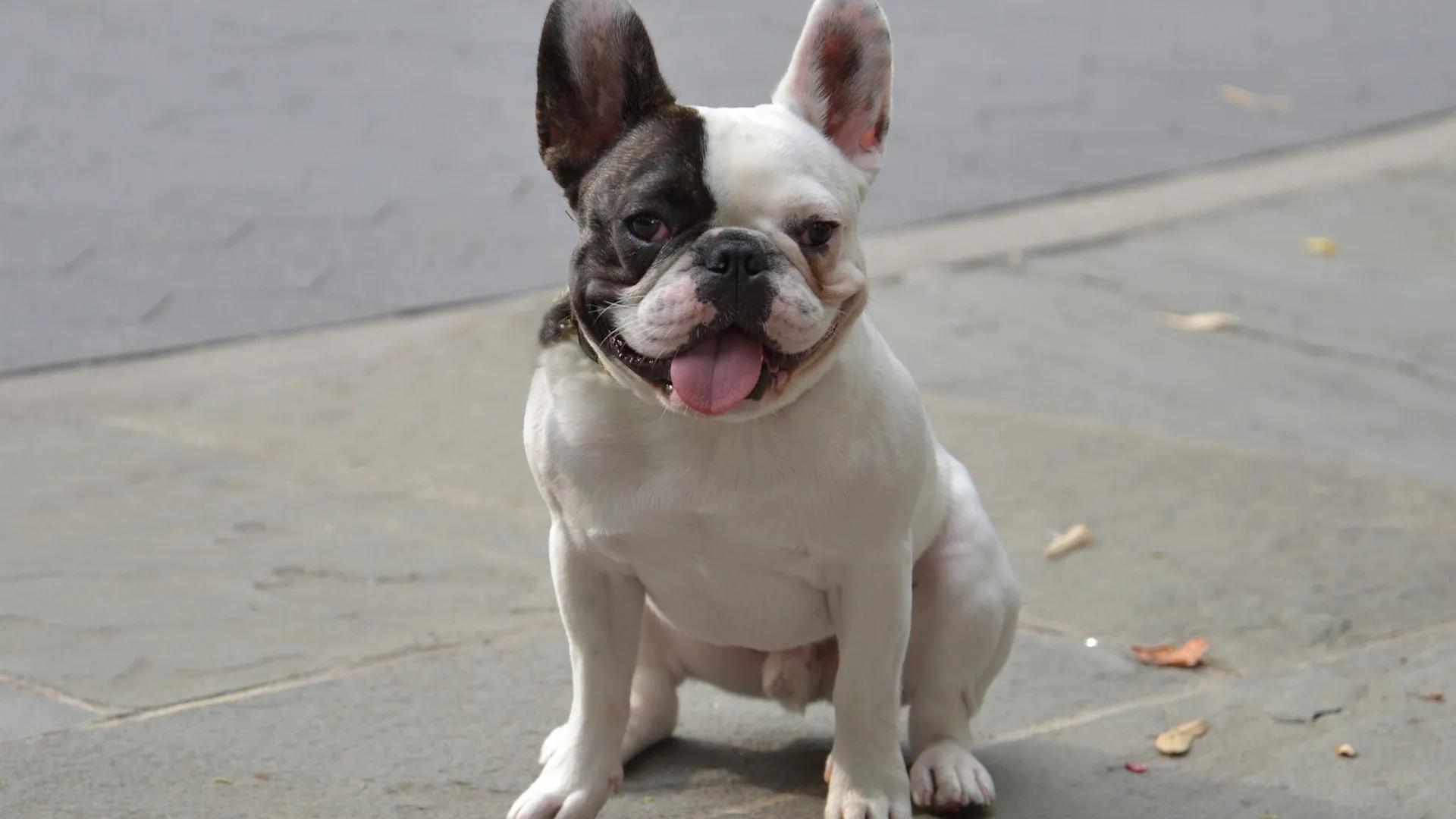 男子强迫女友被判刑一年,男子强迫女友被判刑