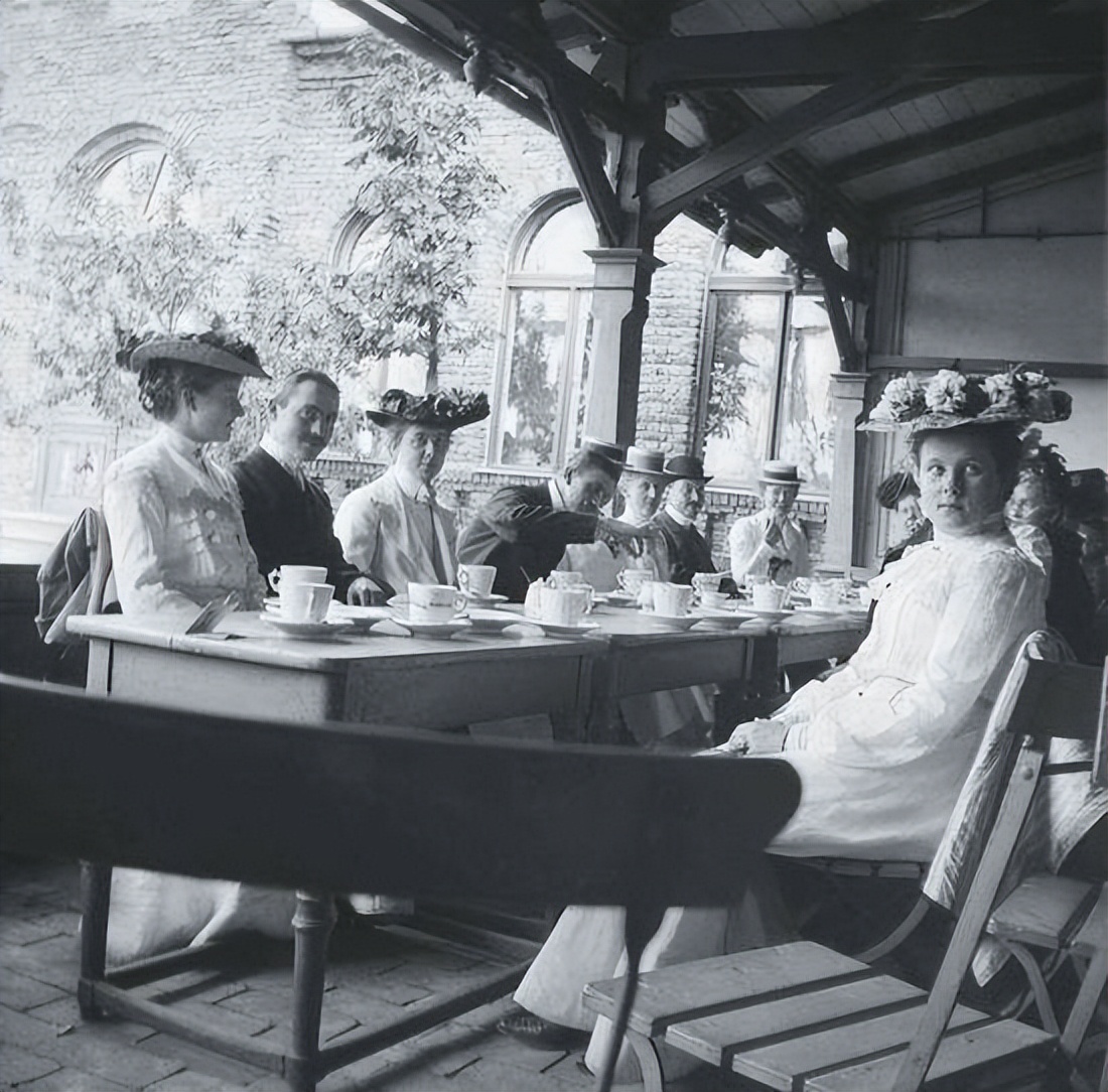 痛心的技术泄密：英国*子骗**偷走安徽两种树苗，让清朝损失百亿纹银