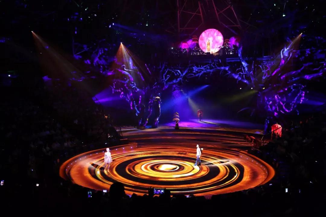 云南西双版纳旅游攻略app,云南西双版纳旅游攻略自由行12月