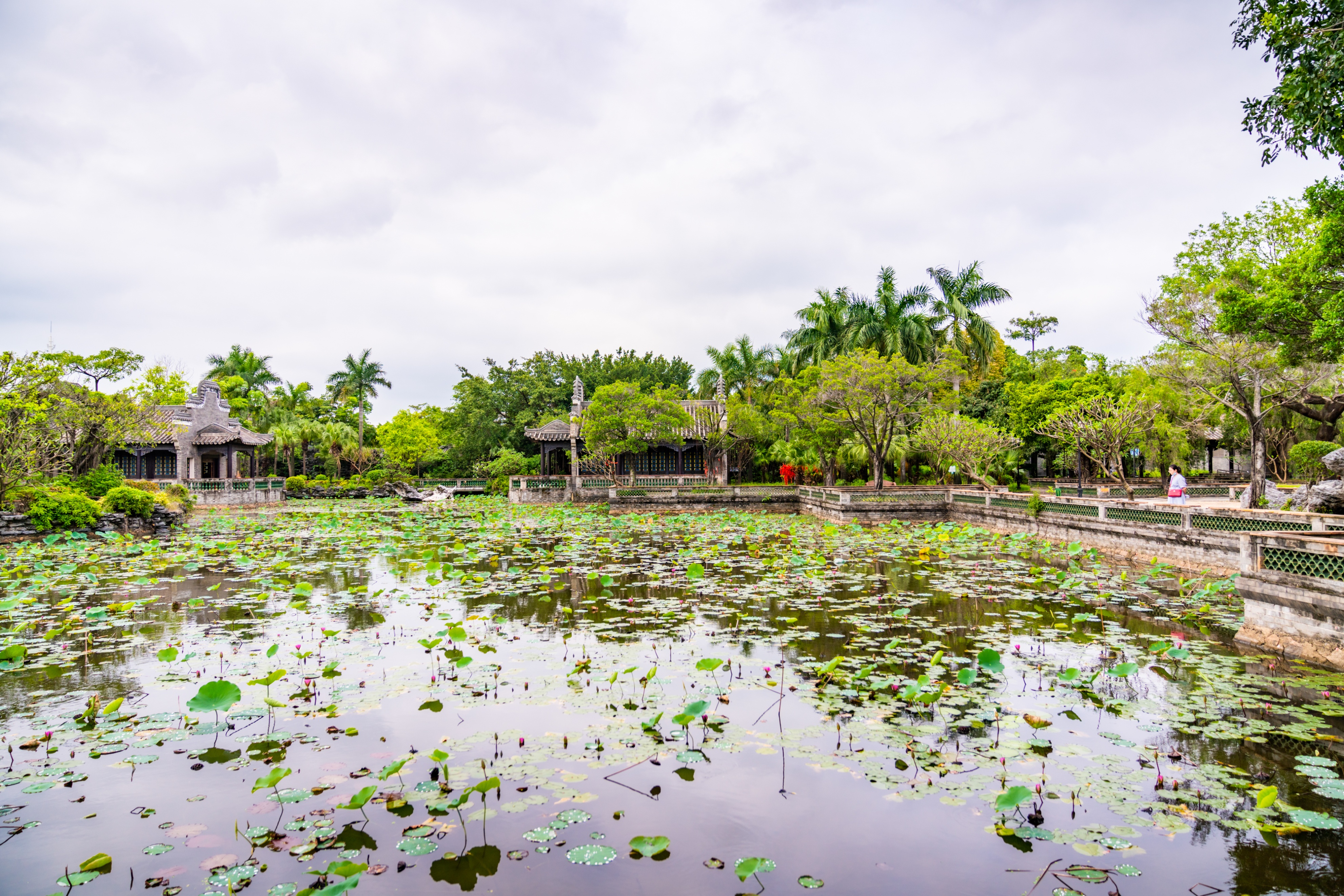 粤晖园国庆游,粤晖园自驾游攻略