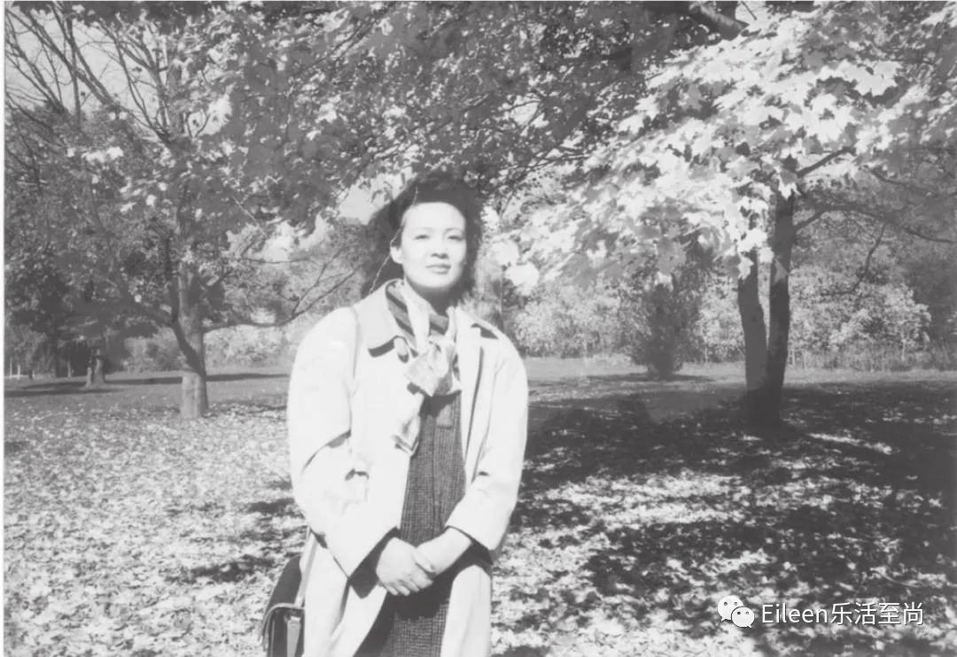 蹭儿媳出位？顶流抓马贵妇是怎么炼成的？